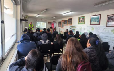 CHARLA A ESPECIALIDAD MUEBLES Y TERMINACIONES EN MADERA